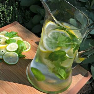 Citrus Water is the New Trending Beverage in the Food and Health Sector
