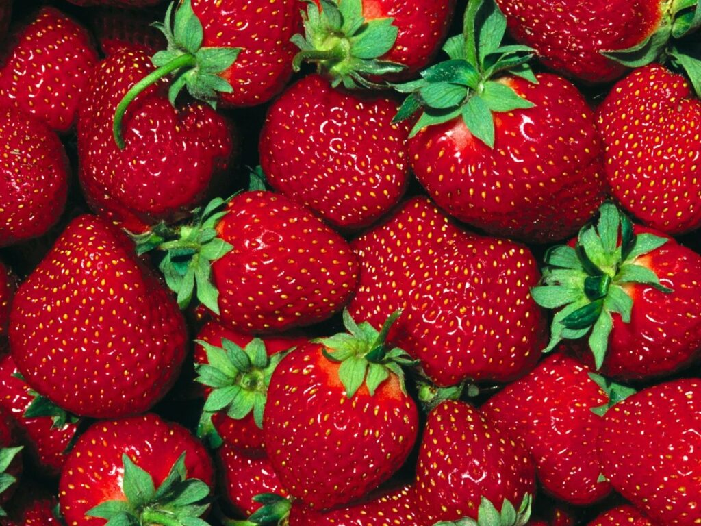 Is Outbreak Linked To Strawberries Experts Review