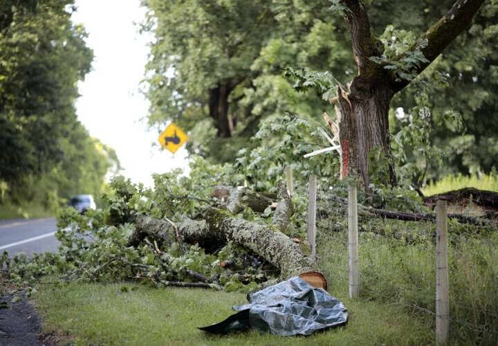 Seven people killed after violent storms hit Italy and Austria