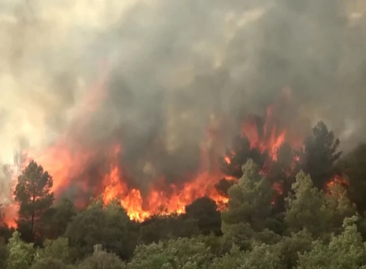 Firefighters battle to control a huge wildfire in Spain’s Valencia region
