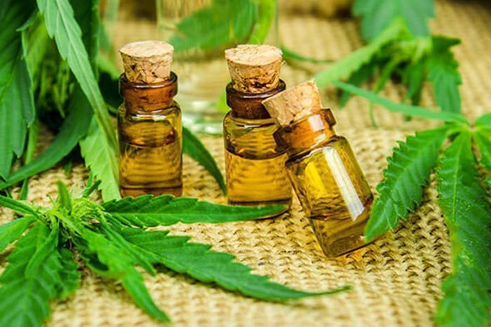 Cannabis Oil market Growth Forecast Analysis | Business Strategies, Leading Key Players by 2031