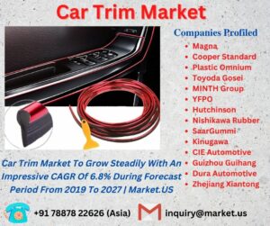 Car Trim Market