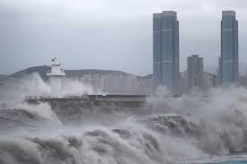 Thousands evacuated as typhoon barrels across South Korea