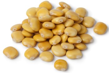 Lupin Protein
